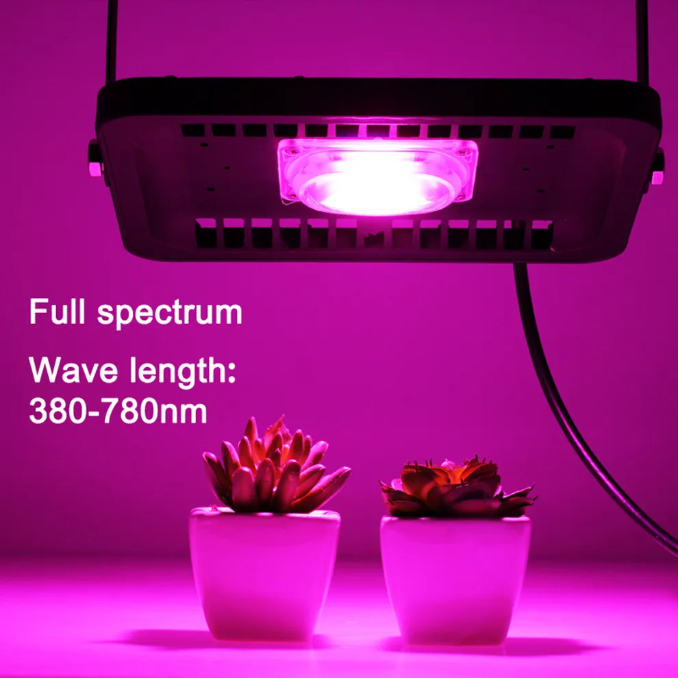 

IP65 LED COB Grow Flood Light 100W 50W 30W 220V Input Smart IC Driver Full Spectrum Fruit Flower Cultivate Plant DIY Grow Light