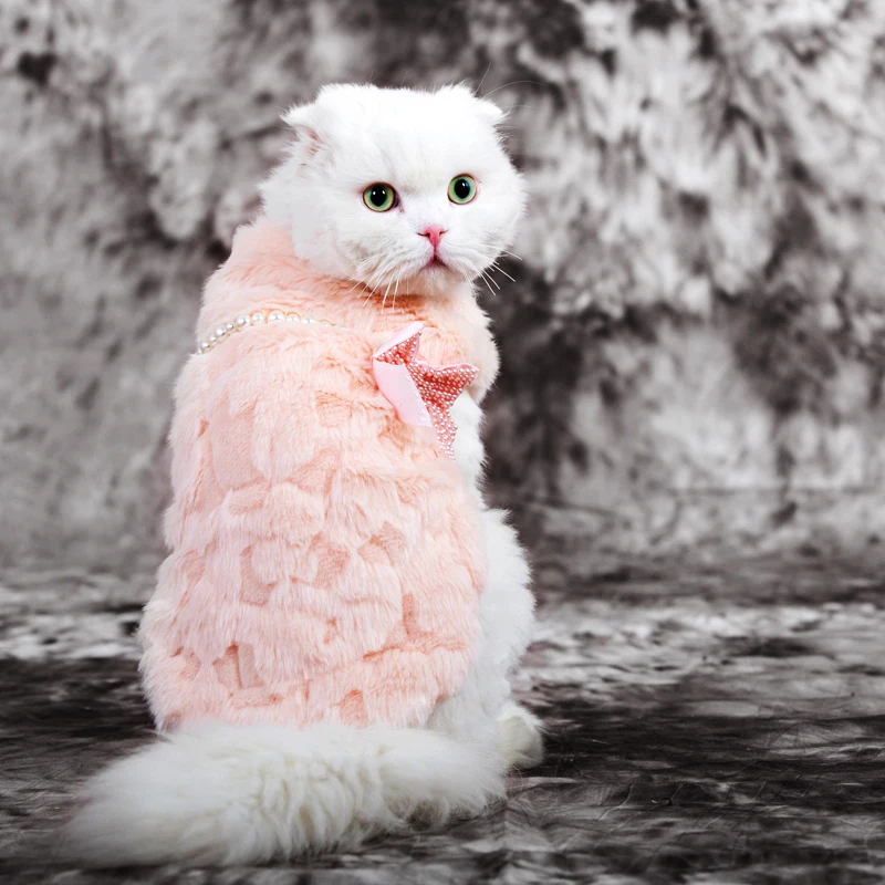 Cat clothing ! Bow hairs autumn and winter warm cat clothes pet cat fur