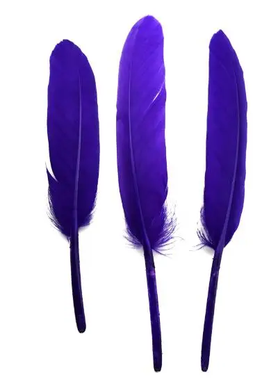 24 шт./лот, цветные окрашенные гусиные перья, крылья, сделай сам, ювелирные изделия, серьги, индийский головной убор, вечерние украшения, Плюм, IF55 - Цвет: purple