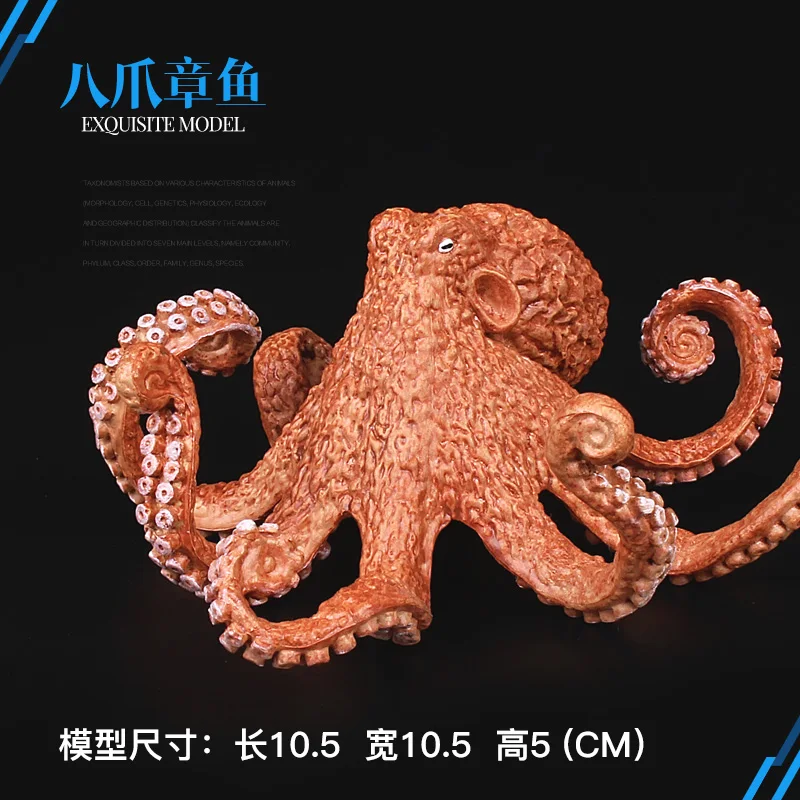 

Simulation of Octopus Wild Animal Toy Model of Marine Benthic Organisms