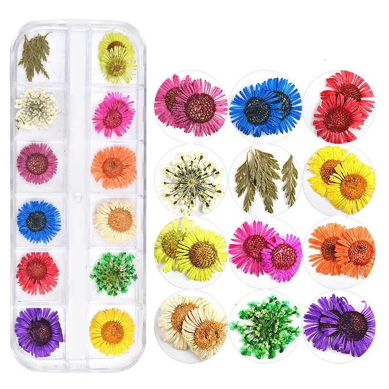 12 цветов, сушеные цветы, украшение для рукоделия, кабошон, украшения для скрапбукинга, аксессуары, наклейки для дизайна ногтей - Цвет: Five Petals