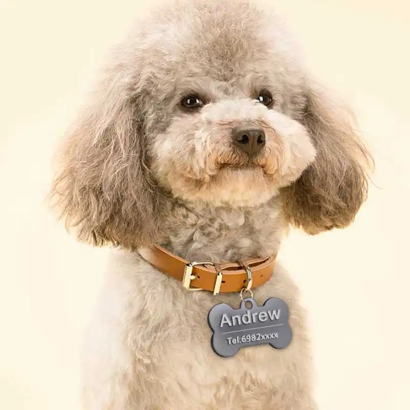 dog tags for small breeds