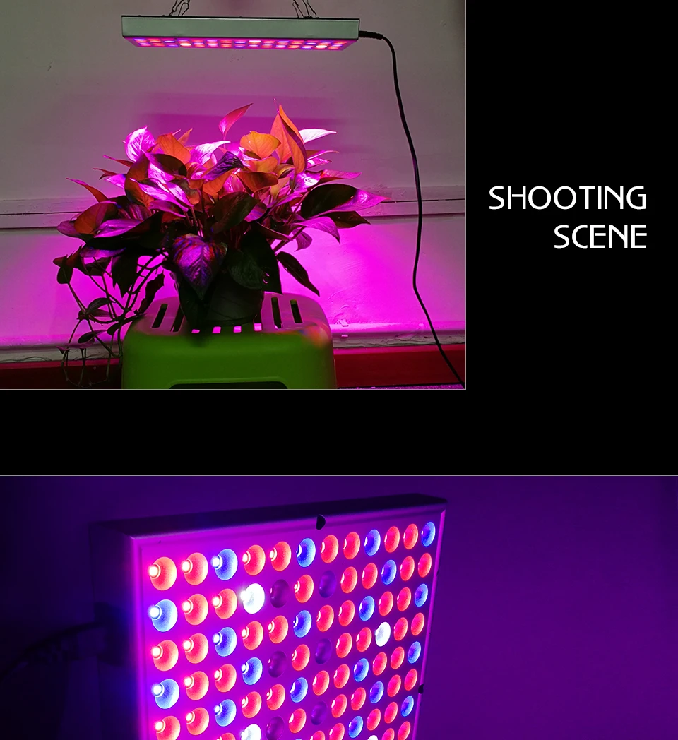 panel led grow light (10)