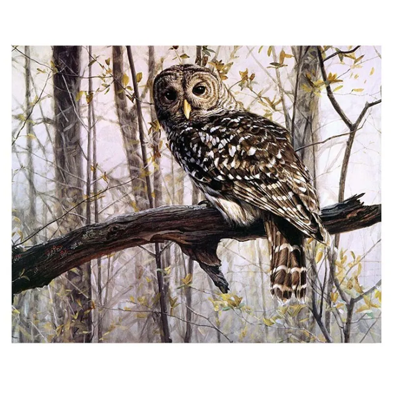 

Frameless Picture DIY Painting By Numbers Owl Animals Acrylic Picture Kits Drawing Paint On Canvas For Home Wall Art Picture