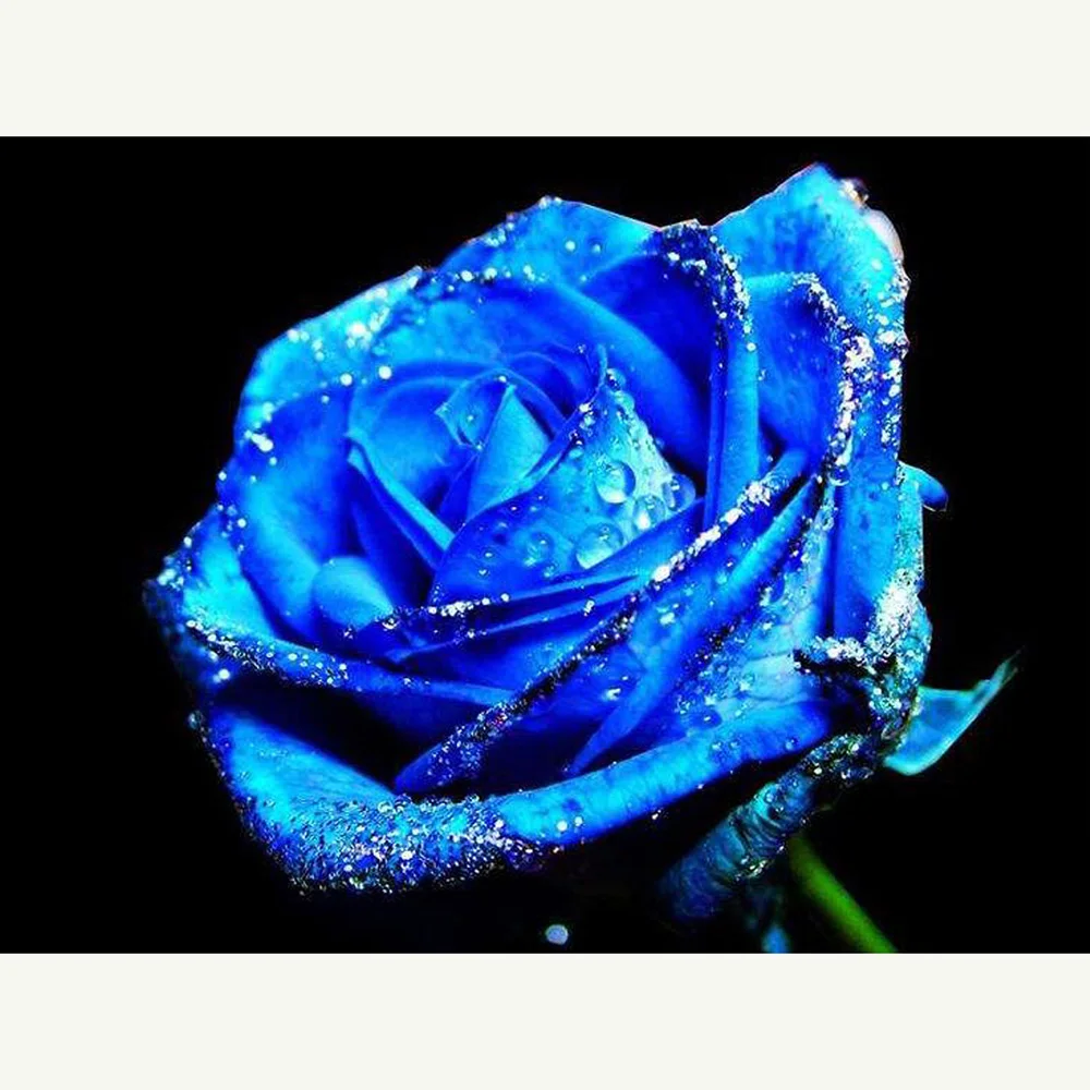 

Cross Stitch Kit DIY Diamond Embroidery Blue rose Full Square/round Diamond Painting Mosaic Home Decor