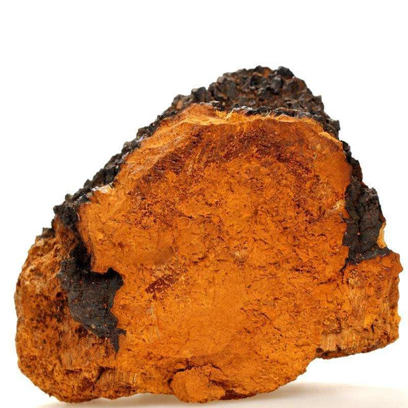 100-1000 г, Siberian Chaga порошок экстракта грибов 30: 1, повышают вашу устойчивость и энергию, адаптировать стресс, высокое качество