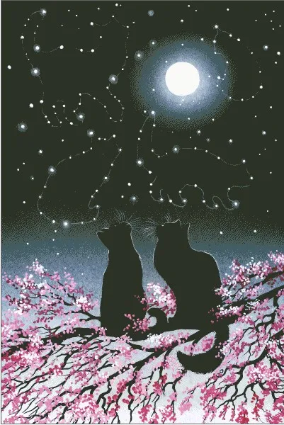

Free Delivery Top Quality Counted Cross Stitch Kit Constellations HAEIAG two black cats kitties at starry night