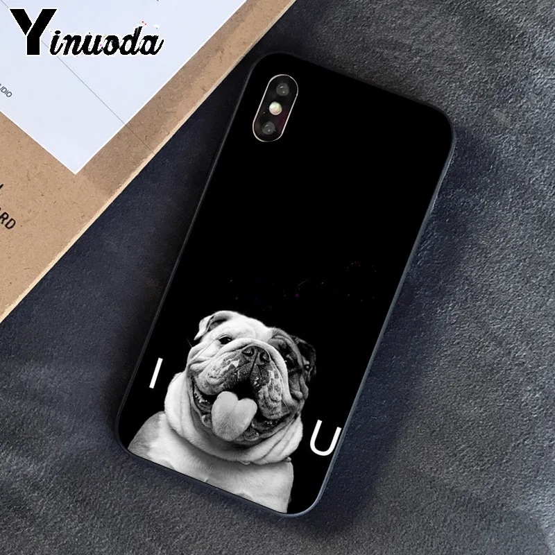 Cute dog english bulldog