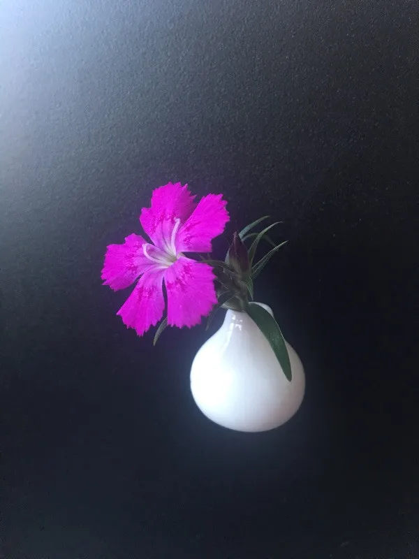 Little mini ceramics vases cute flower vases fridge magnets - Buyers Show 3