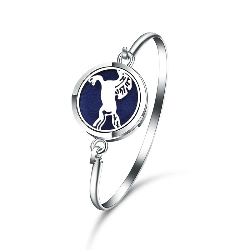 

Fashion Wild Horse Aromatherapy Magnetic Bracelet Stainless Steel Essential Oil Diffuser Perfume Lockets Jewelry Bangle Bracelet