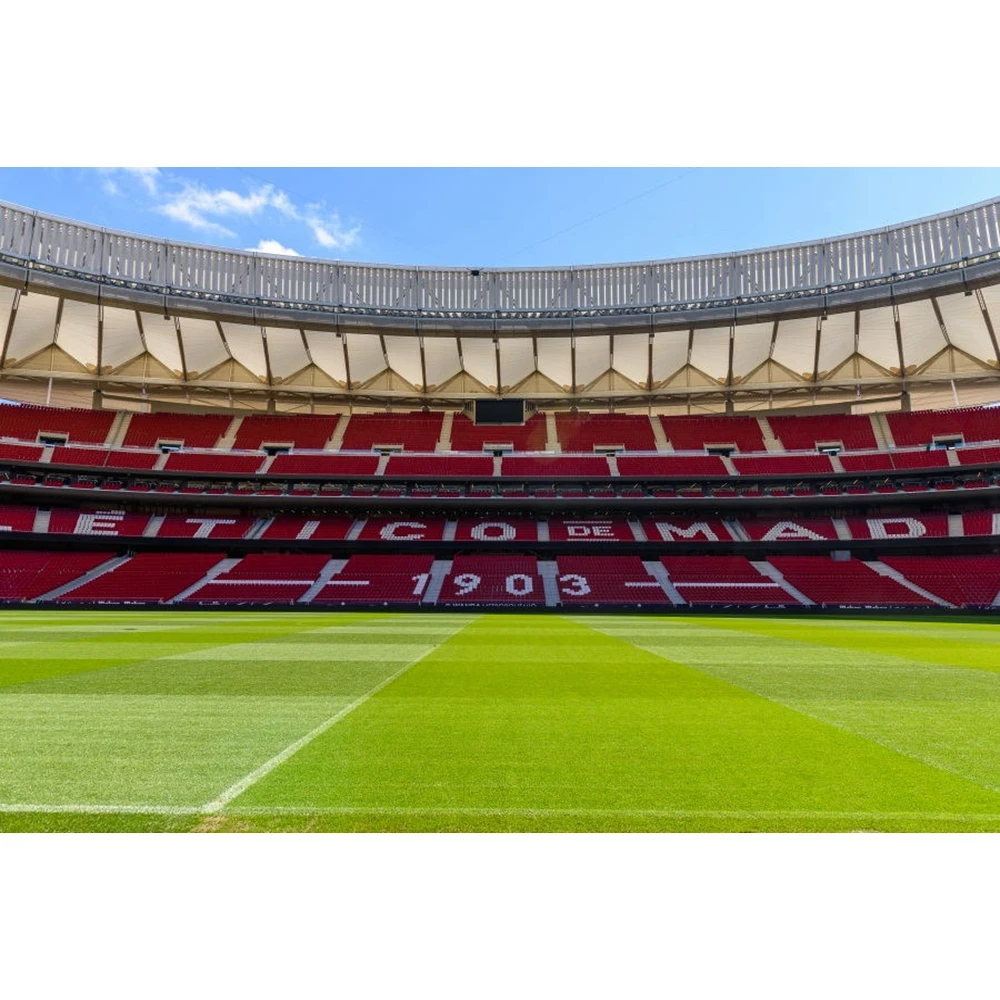 Yeele Атлетико Мадрид футбольное поле футболист плакат Ad фотографические фоны фотографии фоны для фотостудии