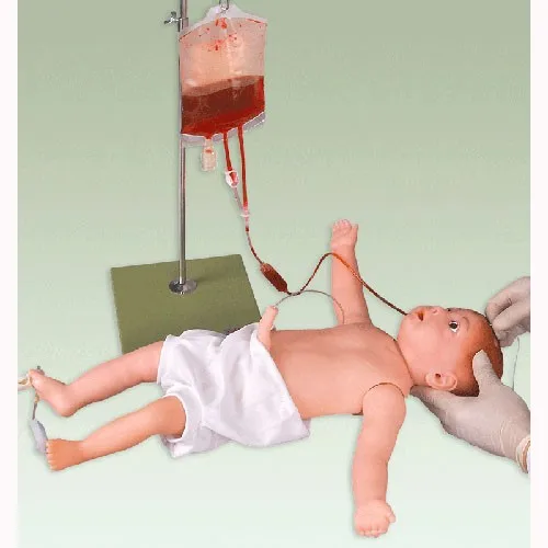 

Infant systemic venous puncture model Infusion puncture practice Feed tube stomach tube intubation practice baby human model