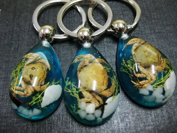 

FREE SHIPPING 14 keychain fashion real insect jewelry real crab blue drop key ring