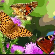 Красивые mixcolored с принтом бабочек картина маслом ручной высокое качество Гостиная стены картины по номерам