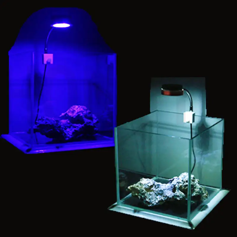 

LED Mini Clip Light ZN1000 ZN1010 Fill Light for Aquatic Seawater Coral Aquarium 3W