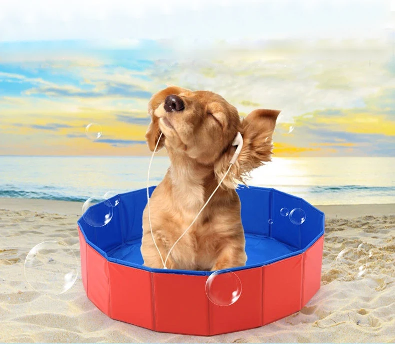 Pliable Chien Piscine Grande Capacité Animal Chat Chien Baignoire