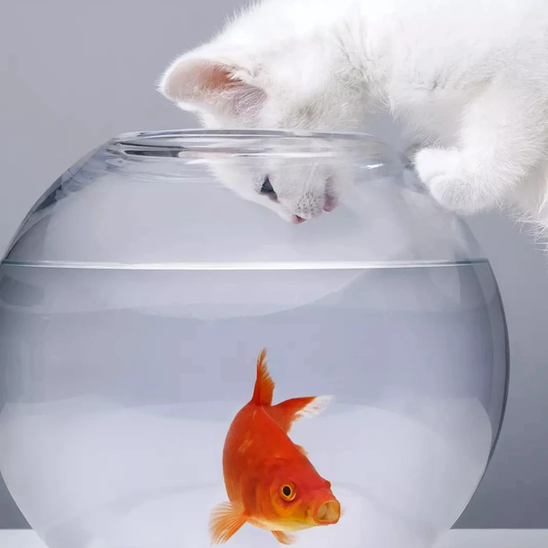 [Магазин MPK], рыба на батарейках, игрушка кошка рыба