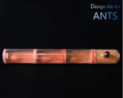 3pcs-bamboo-ant-nest (11)