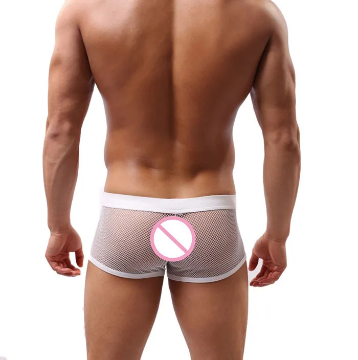 2017Hot Mens Perspective Mesh Sexy Boxers Intimates Print Soft Ventilate Exotic Boxers Briefs Sexy Shorts Underpants Size L-XXL -