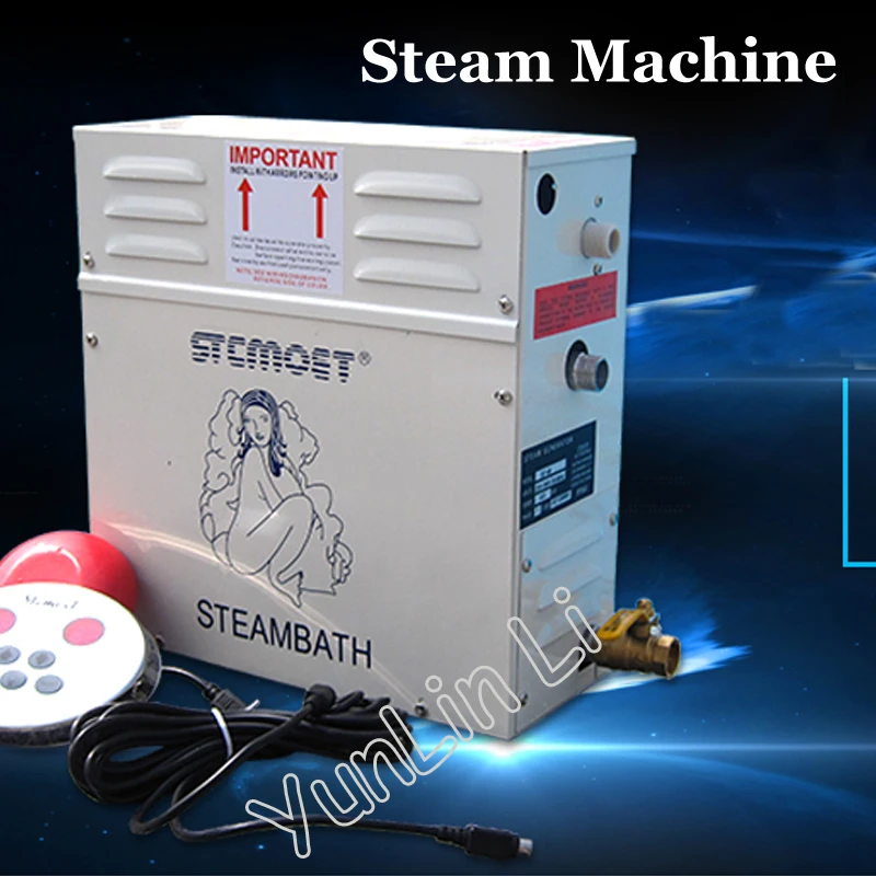 Household Steam Machine Portable Steam Generator Sauna Room Steam Sauna
