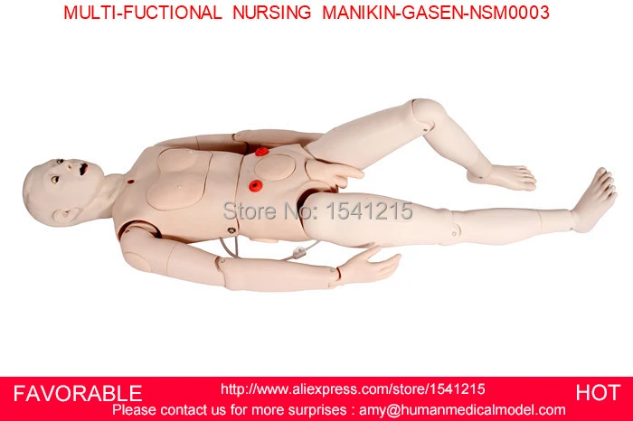 

GENDER INTERCHANGEABLE NURSING MANIKIN,FEMALE/MALE NURSING MANIKIN, MEDICAL MODEL,MULTI-FUCTIONAL NURSING MANIKIN-GASEN-NSM0003