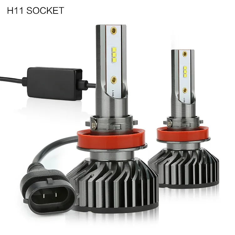 F2-H11-1