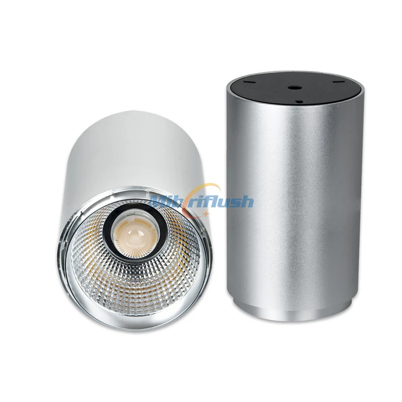 

High quality LED Surface Mounted Downlight 30W Dimmable LED Downlight AC85V-265V 5years warranty for Living room/bedroom