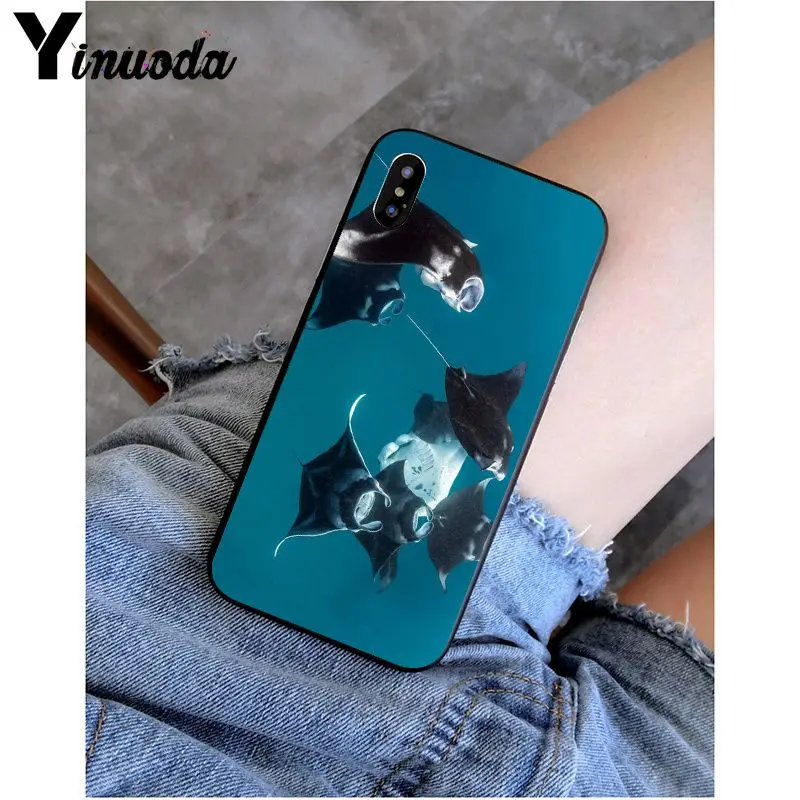 Animal manta ray