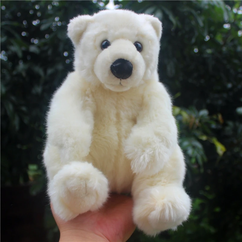 kawaii polar bear plush toy doll girl doll animals bear dolls white bear hug pillow children birthday gift 11inch 28cm DY50396 (5)