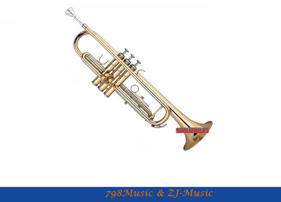 

Trumpet Standard Model With Case-Bore Size 11.65mm-Bell DIA.123mm