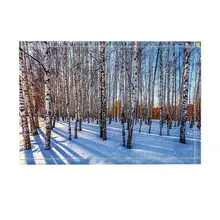 Декор природы, Берёзовый лес, покрытый снегом, зимний коврик для ванной, нескользящий коврик, коврик для пола