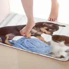 Коврик для ванной комнаты в стиле домашних животных, забавный Противоскользящий коврик для ванной, аксессуары для занавесок для душа, соответствующие вашей занавеске для душа