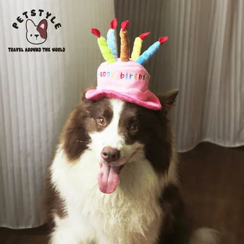 Chapeau Pour Chien Casquette Pour Chiot Costume Pour Chien En Peluche Chapeau Pour Joyeux Anniversaire Reglable Avec Design De Bougies A Gateau Aliexpress Chapeau Pour Chien Casquette Pour Chiot Costume Pour Chien En Peluche Chapeau Pour Joyeux Anniversaire Reglable Avec Design De Bougies A Gateau Aliexpress