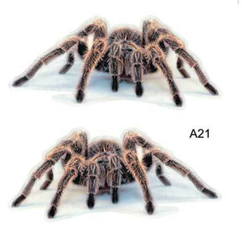 

KKYSYELVA new stereo car spider gecko animal car stickers simulation car tail stickers realistic modification stickers