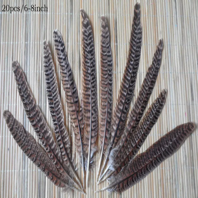 

10PCS 10-15cm / 4-6inches beautiful natural pheasant feather