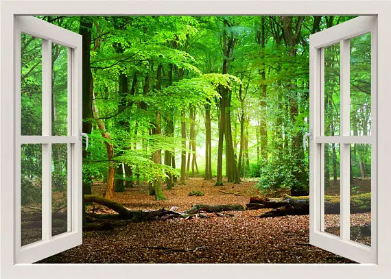 il_570xN.1251961325_syep