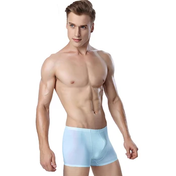 

New Fashion Men's Ice Silk Panties One Piece Boxer Pants Breathable Thin Sexy Transparent Men's Corner Pants Cueca Masculina