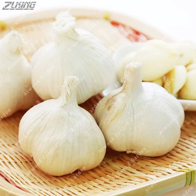 

ZLKING 100% Natural 100pcs/Bag Multi Petals Garlic Organic Vegetable Sementes Outdoor Bonsai Home Gardening Planting