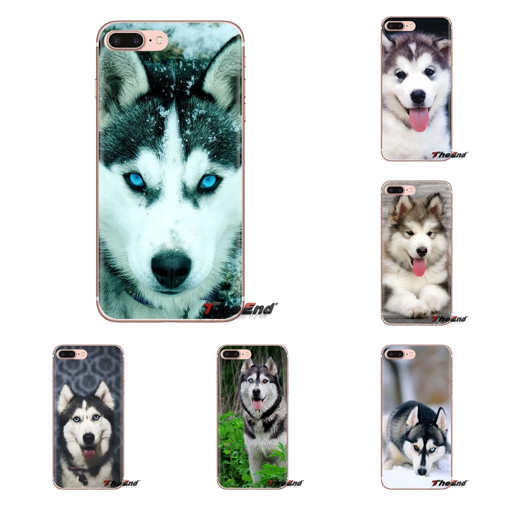Для HTC One U11 U12 X9 M7 M8 A9 M9 M10 E9 Plus Desire 630 530 626 628 816 820 830 мягкий чехол Alaskan Malamute Siberian husky dog |