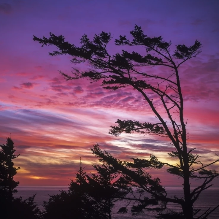 The sun sets near Cape Perpetua; Yachats  Oregon  United States of America Poster Print (26 x 36)