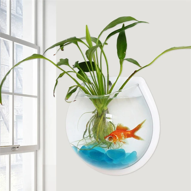 New Transparent Plant Wall Mounted Hanging Fish Tank Flower Round Vase