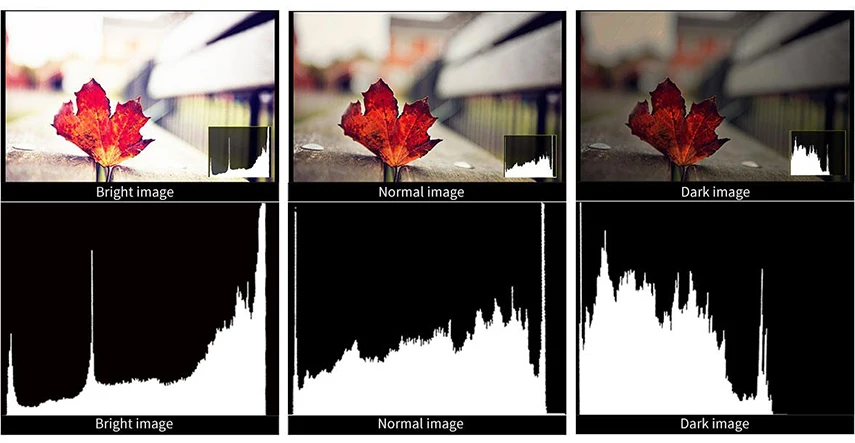 Brightness Histogram