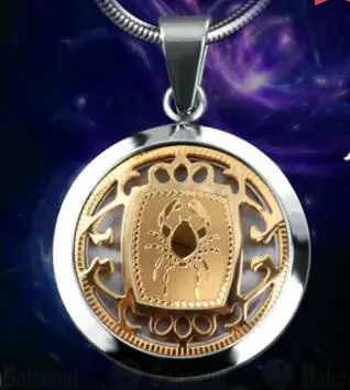 Двенадцать созвездий кулон цепочки и ожерелья Leo Aries Дева Титан Сталь украшения для женщин мужчин 12 Созвездие может быть выгравирован - Окраска металла: golden 4