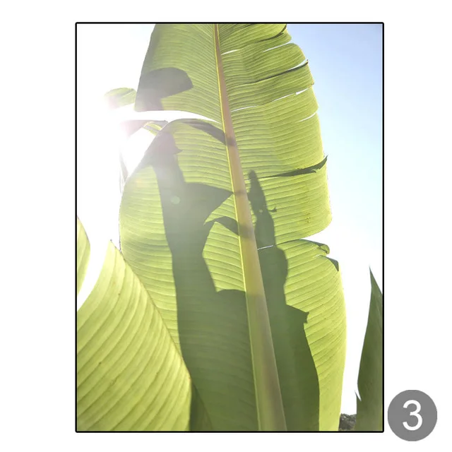 Nordic-Colorful-Botanical-Canvas-Painting-Banana-Leaf-Tropical-Wall-Art-Posters-and-Prints-Minimalist-Bedroom-Dining.jpg_640x640 (2)