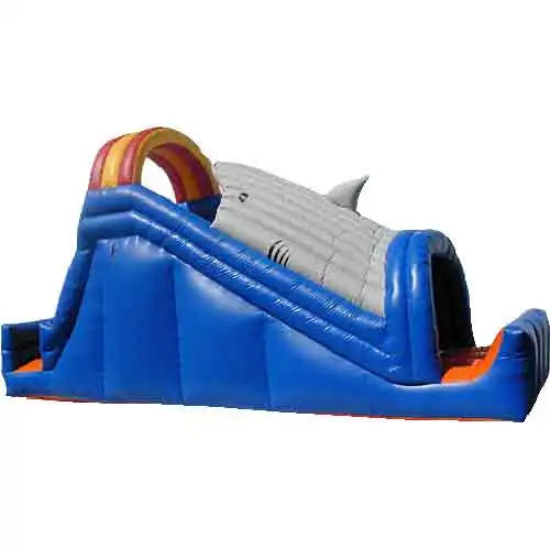 

Commercial Inflatable Water Slides/PVC Giant Inflatable Water Slide for Adults and Kids Inflatable Slide