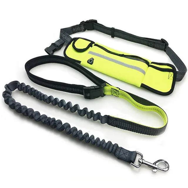Running Elastic Dog Leash Hands Free Jogging Elastic Nylon Leash For