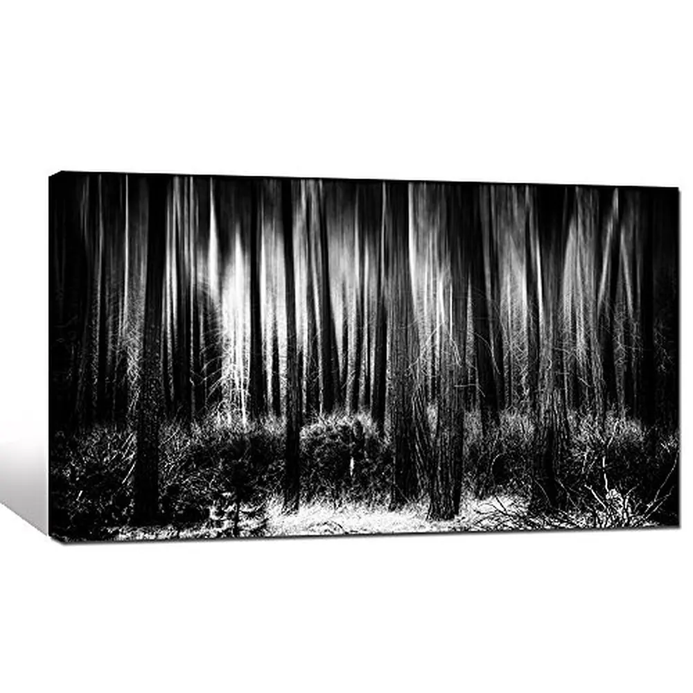 Buy Black and White Forest Canvas Wall Art for Home