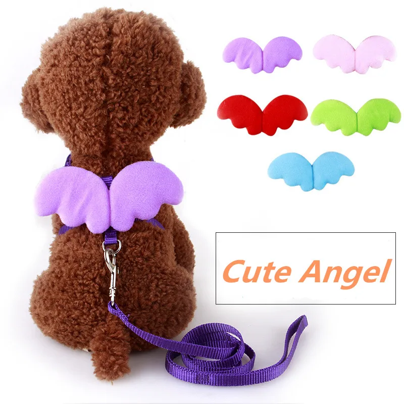 

2017 New Arrival Dog Lead Collar Sets Cute Nylon Line Lead For Dog Walking Rainbow Leads Clollar Sets Free Shipping