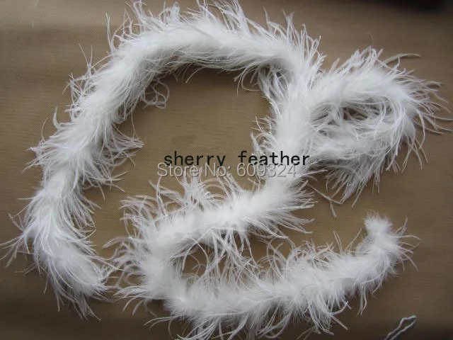 feather boa withe1.jpg