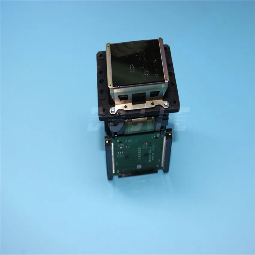 DX79